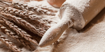 Armenia Seeks Alternatives to Russian Wheat Imports Amid Economic Challenges