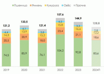 Why Russian Wheat Prices Are Set to Rise: Market Insights and Export Projections