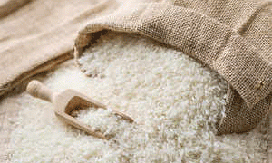 Government Launches Phase-II of Subsidized Wheat Flour and Rice Sales: Relief from Rising Prices