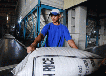 Vietnam’s $5 Billion Rice Export Milestone: The Road to a Global Brand