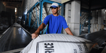 Vietnam’s $5 Billion Rice Export Milestone: The Road to a Global Brand