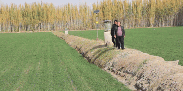 Efficient Winter Irrigation in Kuche: Laying the Foundation for a Bountiful Wheat Harvest
