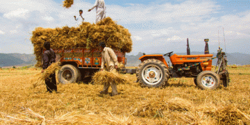Farmers Demand Relief: Kissan Ittehad Threatens Nationwide Protest Over Wheat Prices and Rising Costs