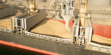 The ABCD of Global Grain Trade: How Four Giants Shape the Market and What It Means for Farmers and Consumers