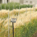 Revamping Seed Standards: How New Guidelines for Barley and Wheat Will Shape Crop Breeding