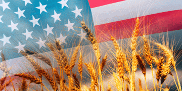 US Agricultural Exports: Trends, Challenges, and Projections for Wheat, Corn, and Soybeans in 2024/25