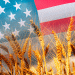 US Agricultural Exports: Trends, Challenges, and Projections for Wheat, Corn, and Soybeans in 2024/25
