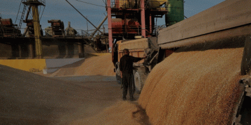 Russia Awaits a New Chapter in Wheat Trade with Egypt’s Mostakbal Misr