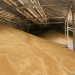 Ensuring Grain Safety: 38,000 Tons of Hazardous Grain Found in Yakutia
