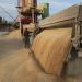Vietnam’s Wheat Imports Surge: Implications for Global Trade and Local Markets