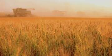 Russia Aims to Secure Chinese Market for Winter Wheat Amid Export Challenges