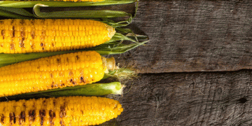 Corn Market Faces Marginal Losses Amid Supply and Ethanol Challenges