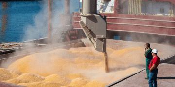 Russia Cuts Grain Export Duties for the First Time in Over a Year: What This Means for Farmers and the Market