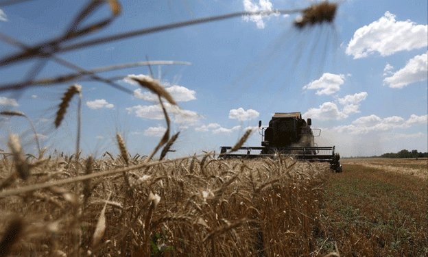 Will China Turn to Argentina to Fill Its Farming Import Gap? Wheat and See