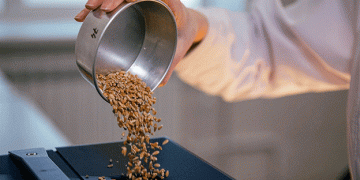 Volgograd Wheat: High-Quality Grain Sets a Benchmark for Agricultural Excellence