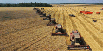  2024: A Year of Agricultural Challenges in Russia’s Chernozem Region