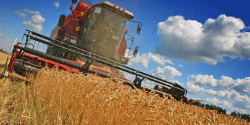 Illinois Wheat Production Falls While Oats Show Growth in 2024