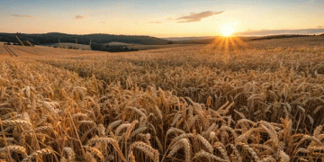 Rostov Region Exports Agricultural Goods to Nearly 100 Countries: A Milestone in Global Trade