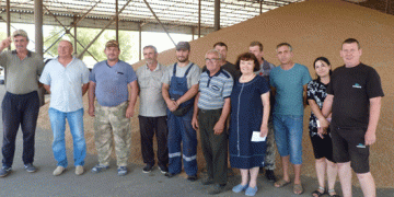 Rostov’s Grain Success: A Bountiful Harvest and Promising Outlook for 2024