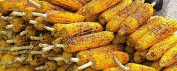 Winter Delights: Grilled Corn and Sweet Potato – Hanoi’s Must-Try Snacks