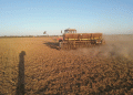 Late Wheat Sowing? No Worries! Maximize Profit with These Varieties and Techniques
