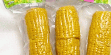 Successful Collaboration on “Hoppichan Fresh Corn” Highlights Farm-to-Table Innovation in Hokkaido