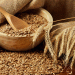 Azerbaijan Imports Over 1.1 Million Tons of Wheat in 11 Months – Key Trends and Implications