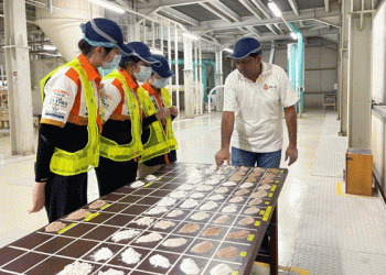 Olam Agri’s Heat-Tolerant Wheat: A Game-Changer for Nigerian Agriculture