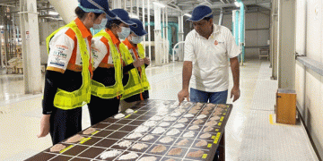 Olam Agri’s Heat-Tolerant Wheat: A Game-Changer for Nigerian Agriculture