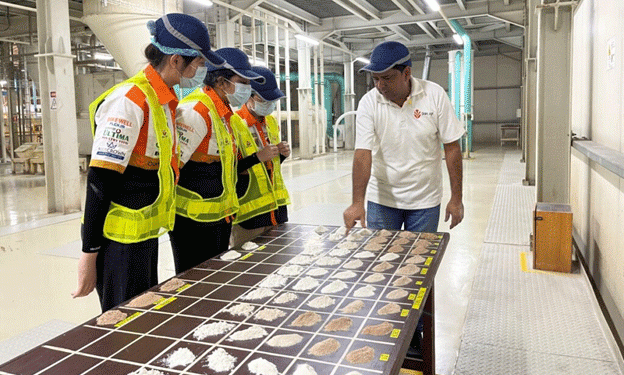 Olam Agri’s Heat-Tolerant Wheat: A Game-Changer for Nigerian Agriculture
