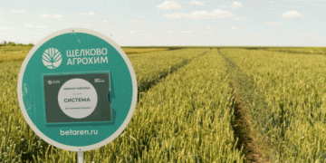 Maximizing Wheat and Soybean Yields: The Power of New Varieties “Ermolovka,” “Sistema,” and “Teiri