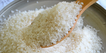 Kazakhstan’s Rice Industry: Growth in Exports and Market Dynamics
