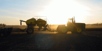 Canada’s 2025 Crop Outlook: Wheat Gains, Canola Declines as Farmers Adapt to Market Shifts