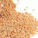 Russian Wheat Export Prices Drop Amid Global Competition