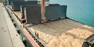 Russia Expands Wheat Exports: First Shipment to Israel Marks New Milestone