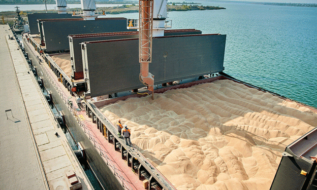 Russia Expands Wheat Exports: First Shipment to Israel Marks New Milestone