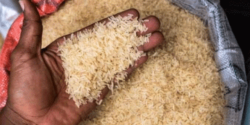 Nigeria Receives Rice Shipment from Thailand Amid Deepening Food Crisis