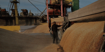Egypt’s New Wheat Procurement Mechanism: Challenges for Traders and Market Transparency