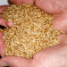 The Rising Global Demand for Krasnoyarsk Grain: Key Export Markets and Regional Trends
