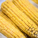 Russia Strengthens Oversight on Corn Seed Imports to Protect Domestic Agriculture