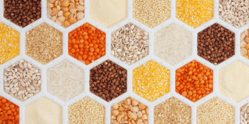 Vietnam’s Grain Imports in January 2025: Corn Increases, While Soybean and Wheat Decline