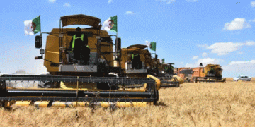 French Concerns Rise Amid Strengthening Algerian-Italian Agricultural Alliance