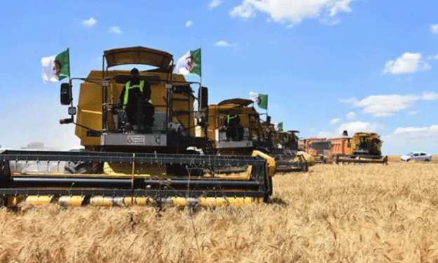 French Concerns Rise Amid Strengthening Algerian-Italian Agricultural Alliance