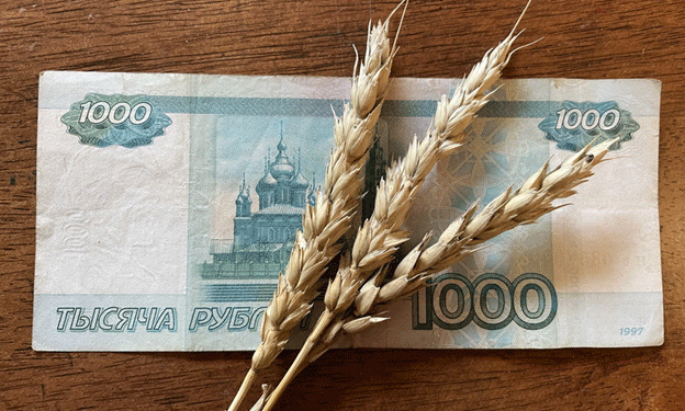 Kazakhstan Faces Wheat Supply Challenges Amid Currency Fluctuations and Trade Disputes