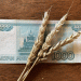 Kazakhstan Faces Wheat Supply Challenges Amid Currency Fluctuations and Trade Disputes