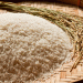 Astrakhan Region to Establish a Full-Cycle Rice Production Complex