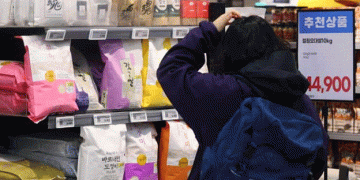 Shifting Dietary Habits: South Korea’s Rice Consumption Projected to Decline by 15%