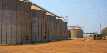 Strengthening Ties: Russia’s Agricultural Exports to the Persian Gulf Surge by 10%