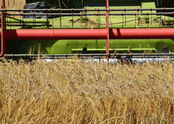 The End of Low Grain Prices: A New Era for Global and Russian Markets