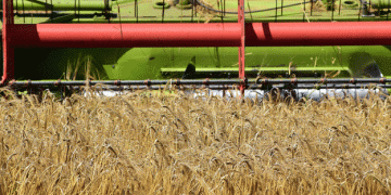 The End of Low Grain Prices: A New Era for Global and Russian Markets